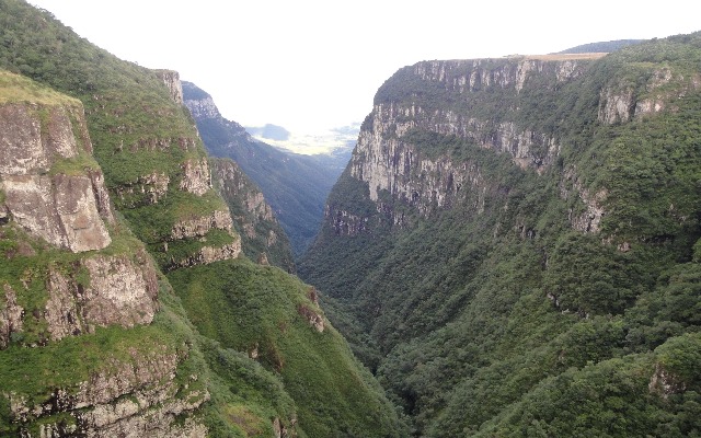 A origem do malacara - Cavalus