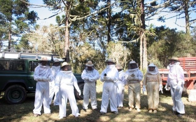 Apiário de Cambará do Sul oferece Passeio do Mel - Celso Sgorlla