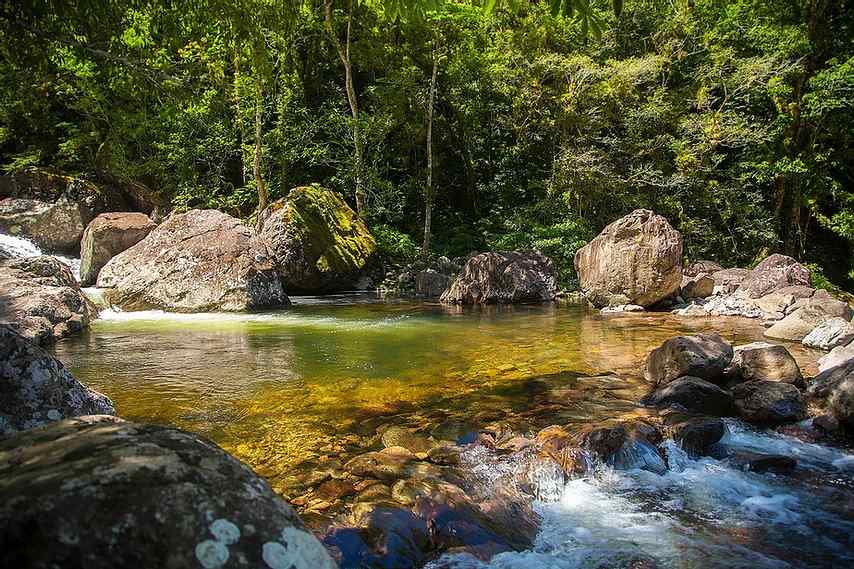 A origem do malacara - Cavalus